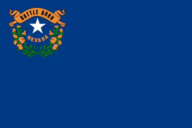 Nevada State flag - Nevada Car Seat laws 2022