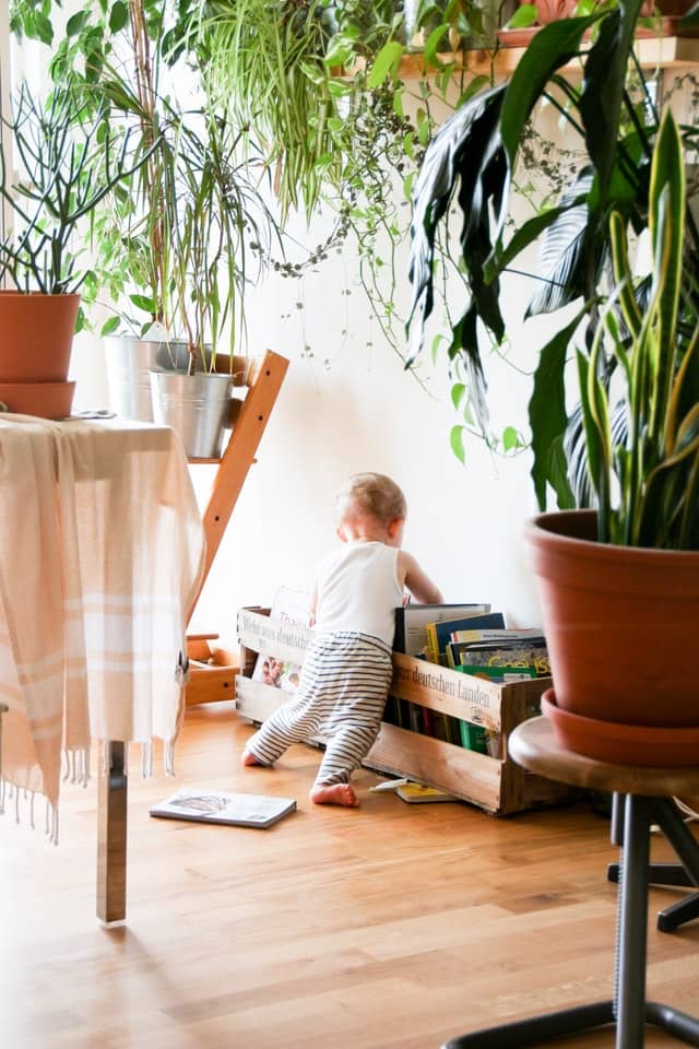 toddler ransacking books in shelf
