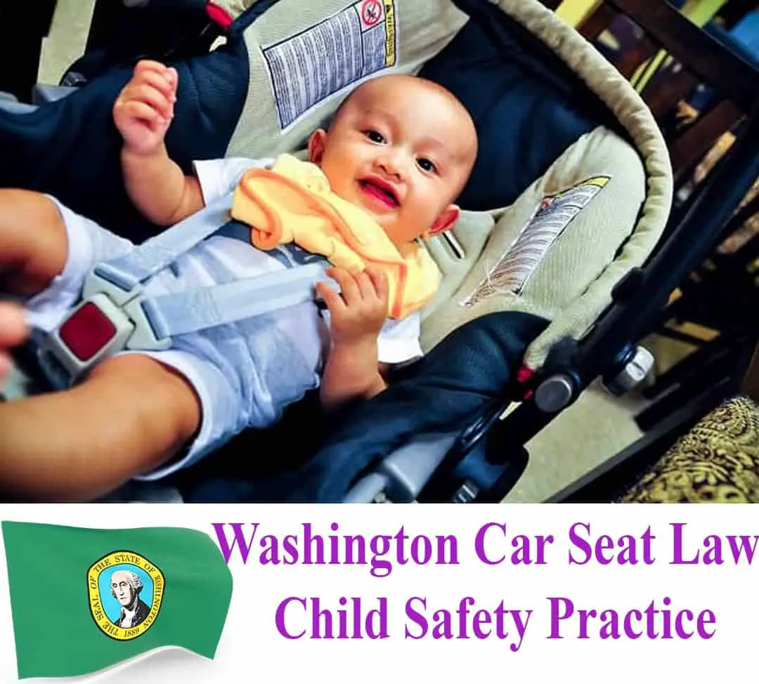 Washington State Car Seat Laws Updated & Simplified