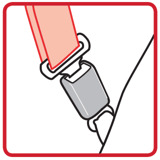 buckle the seat belt