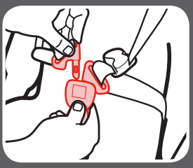 buckle the strap