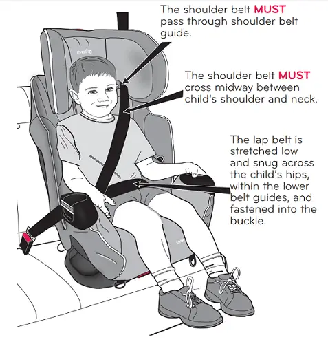 How To Install Evenflo Car Seat + Manual Instructions