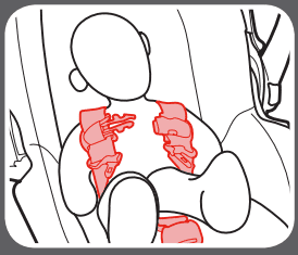 place harness straps over shoulders