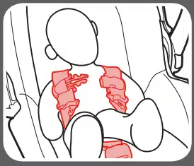 place harness straps over shoulders