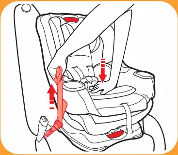 tighten the lower anchor strap