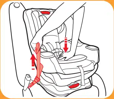 tighten the lower anchor strap