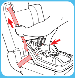tighten the vehicle seat belt