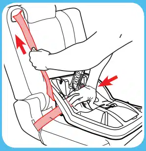 tighten the vehicle seat belt