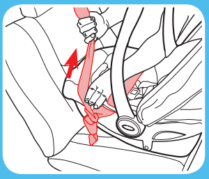 tightening the vehicle seat belt
