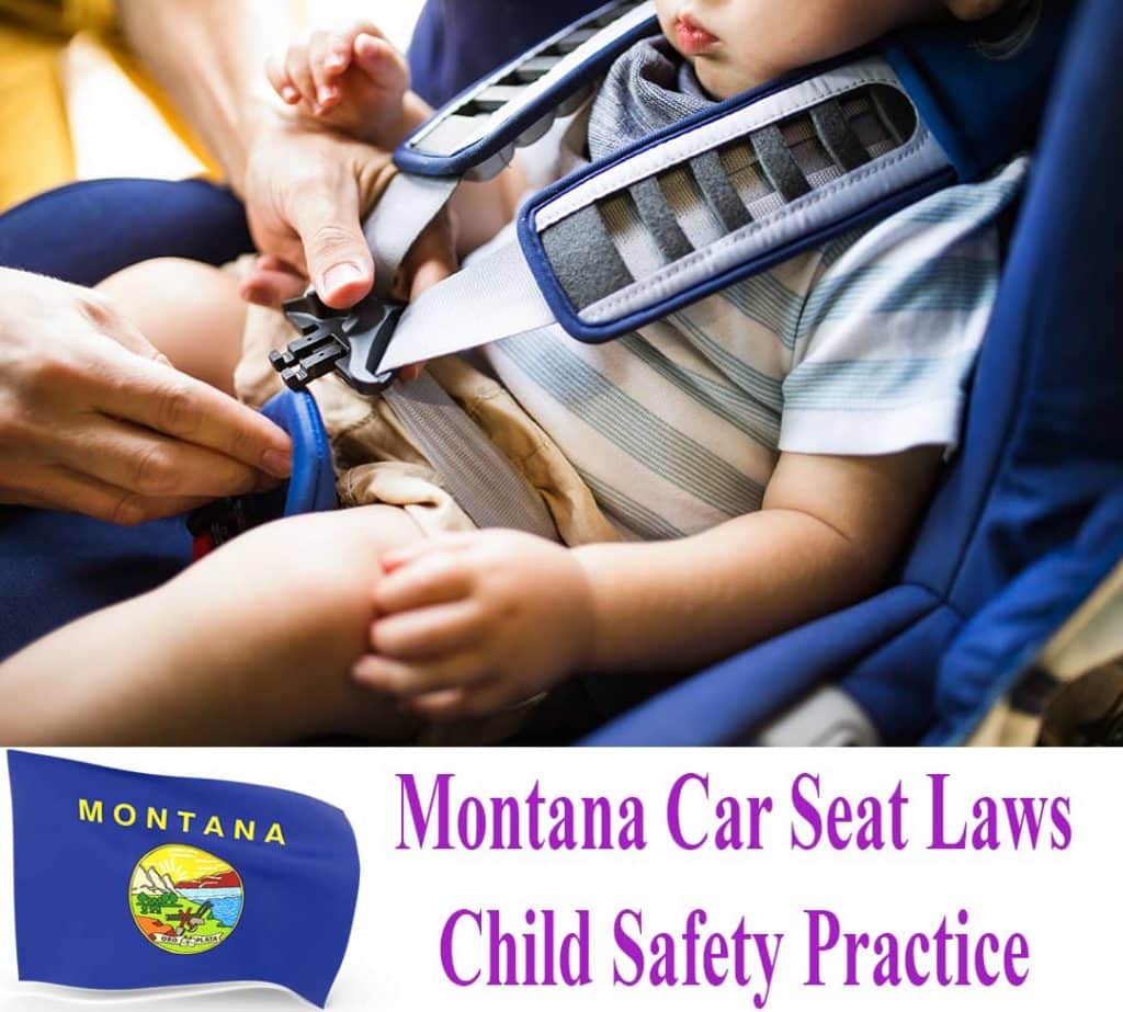 Montana Car Seat Laws