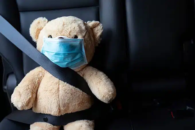 teddy bear fastened with safety belt
