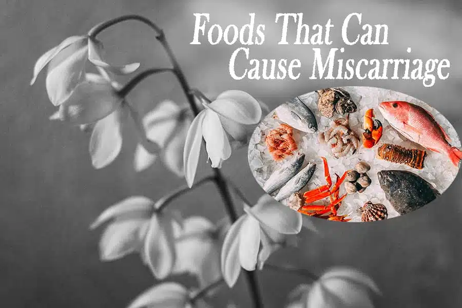 foods that can cause miscarriage